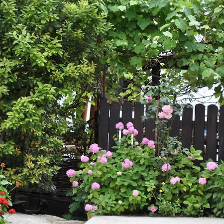 Mini Hotel Lidia New Athos Ngoại thất bức ảnh